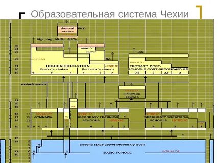 Т образовательная система