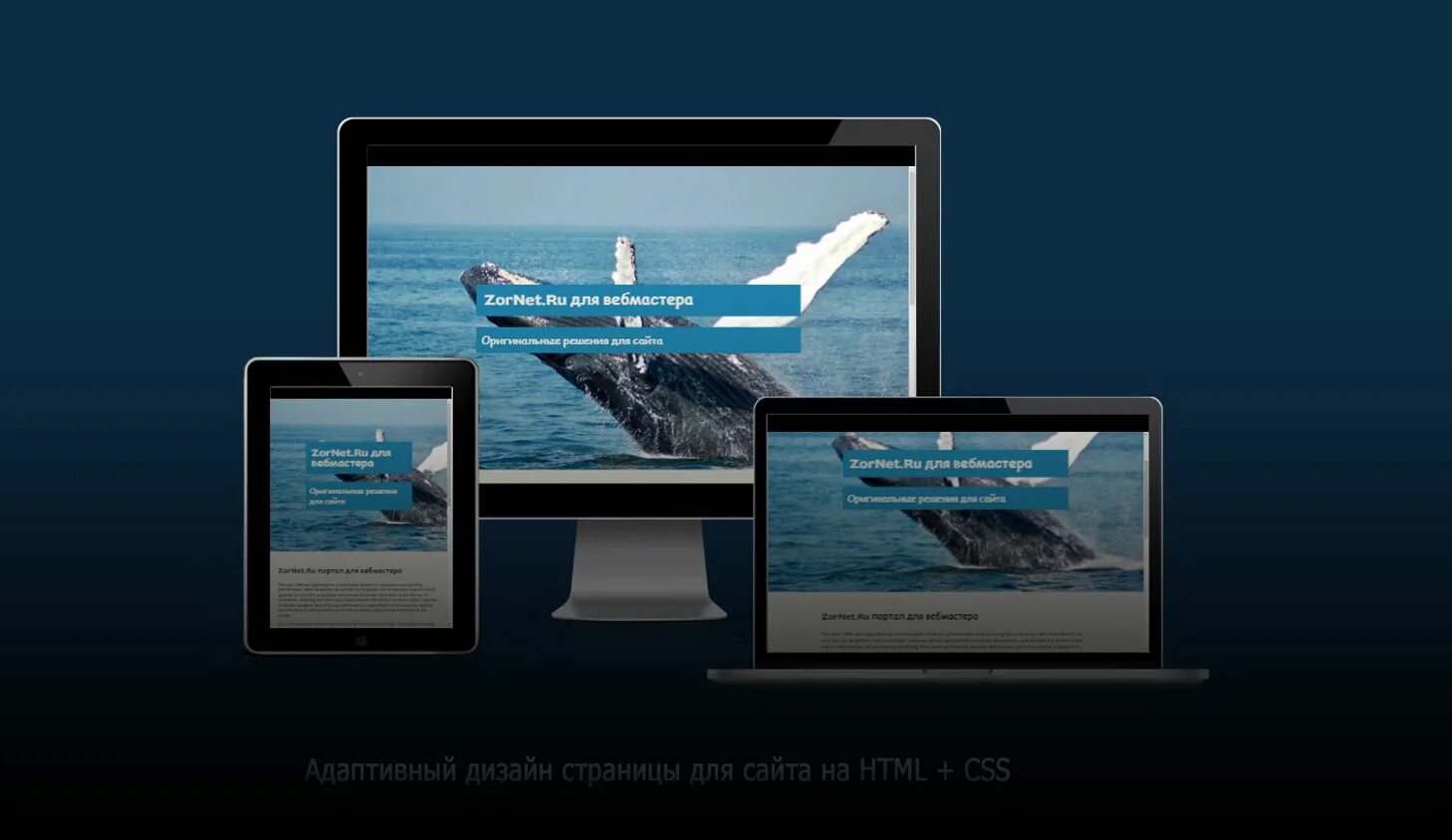 Адаптивные блоки css. Адаптивный сайт html css. фото не адаптивного дизайна. адаптивная мини сайта на html. понятие адаптивного интерфейса и его возможности.