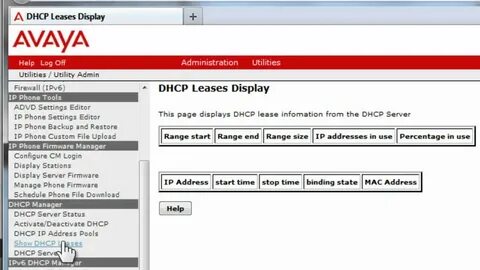 Avaya server