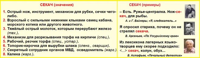 Сексот кто это. Сексот — секретный сотрудник. Что означает слово сексот. Информация от осведомителя примеры. Секач значение слова.