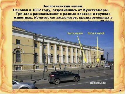 Зоологический музей в москве как добраться