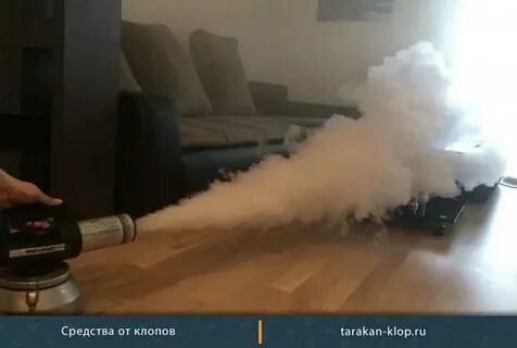 Горячий туман от клопов