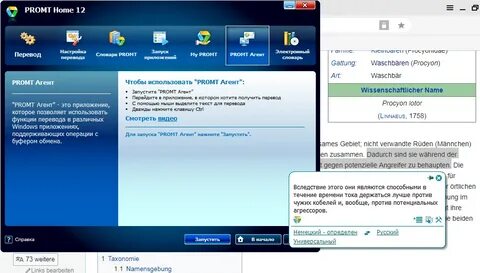 Промт для создания изображения