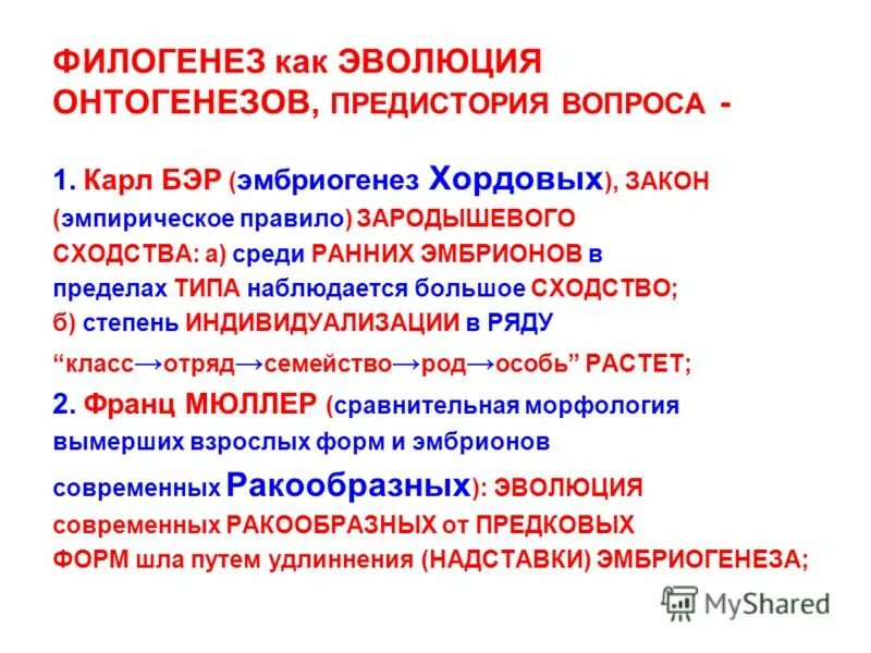 Термин филогенеза. Филогенез это развитие. Филогенез это в биологии. Понятие об онтогенезе и филогенезе. Филогенез это кратко.