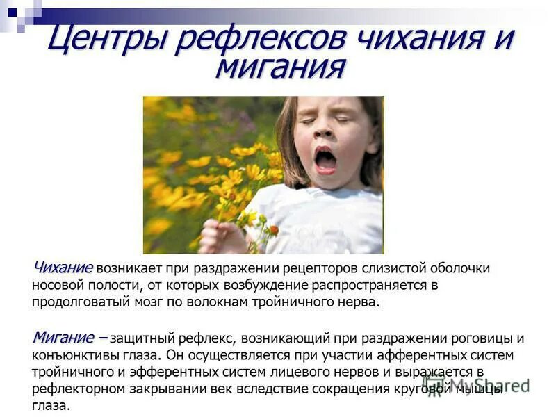 Чихание возникает при раздражении рецепторов 1) ротовой полости. Чихание возникает при раздражении рецепторов слизистой. Чихание возникает при раздражении рецепторов. Защитные рефлексы в системе дыхания. Чихание возникает при раздражении рецепторов слизистой.