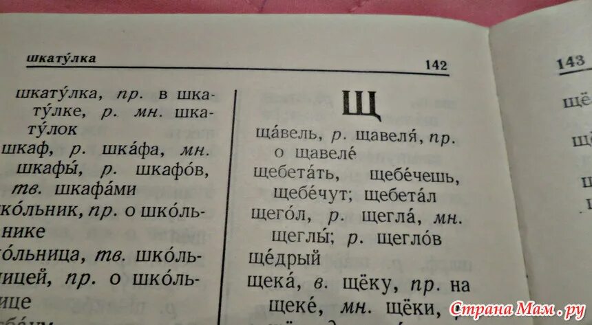 Шкафы ударение в слове. Шкафы ударение ударение. Шкаф шкафы ударение. Шкафы ударение правильное.