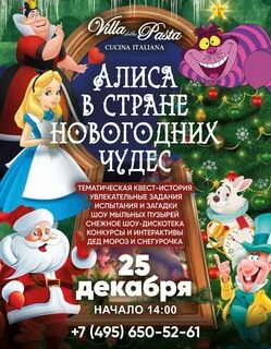 Новый год в стране чудес