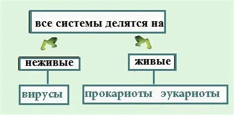 Неживые организмы состоят. Живые и неживые системы. Неживые системы это. Строение живого и неживого. Клеточное строение живых и неживых организмов.