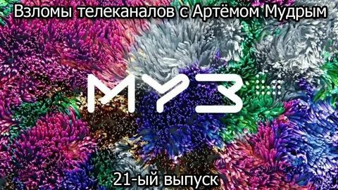 Муз 19