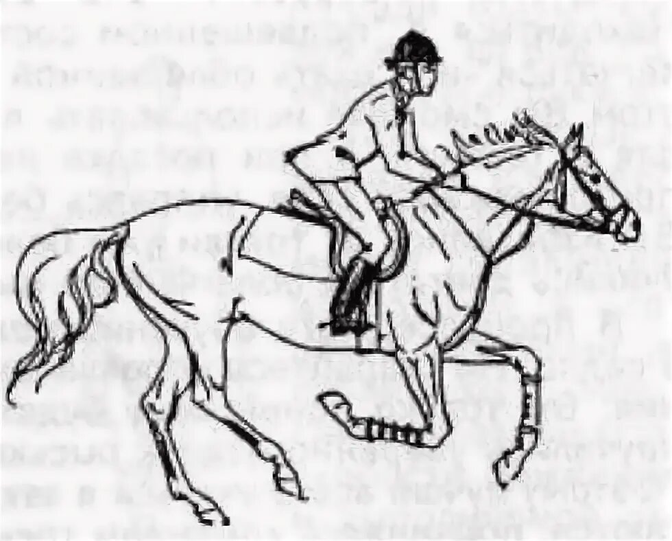 Полевая посадка на лошади на галопе. Полевая посадка в конном спорте. Посадка всадника при галопе. Правильная посадка всадника на галопе. Конно рысью