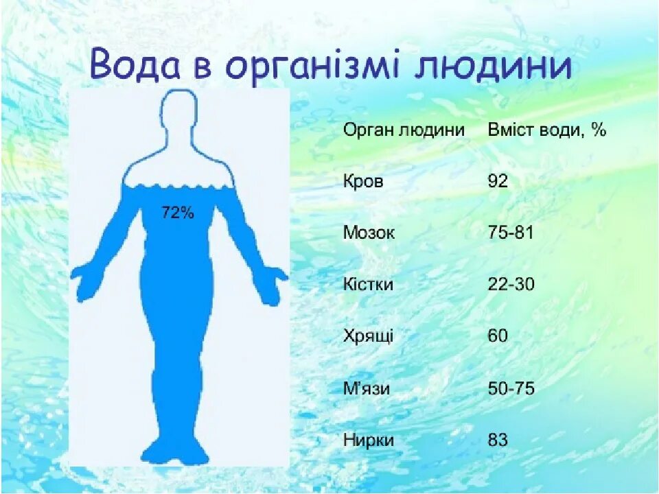 Содержание воды в органах. Человек состоит из воды. Xtkjdtr cjcnjbn BP djlsa. Организм человека состоит из воды. Сколько процентов воды в человеке.