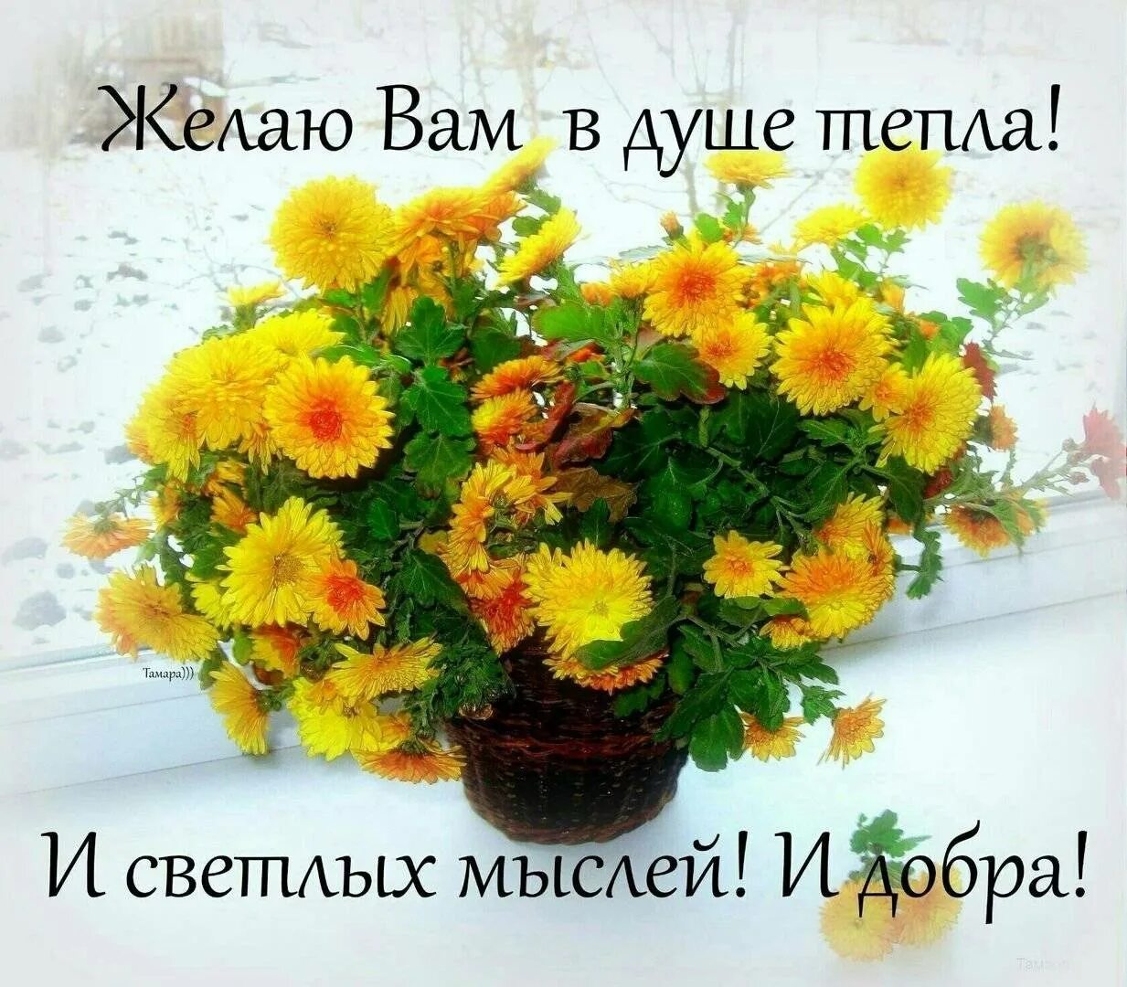Желаем теплых и светлых