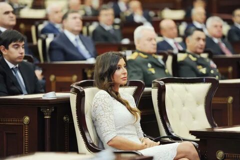 Официальные государственные лица