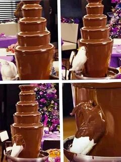 invest in a chocolate covered bird rMemeEconomy.