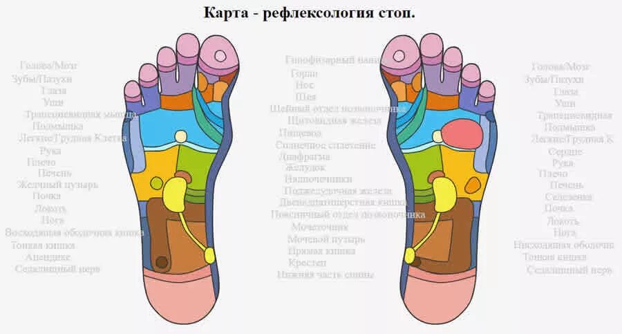 Карта в стопе метро. Рефлексология стопы. Карта стоп Рефлексология. Рефлексология в психологии. Карта рефлексологии стопы.