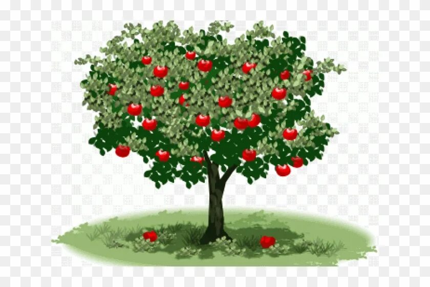 Яблони огэ. Яблоня для детей. Красивое дерево яблоня. Яблоня дерево для детей. Деревья с яблоками сад.