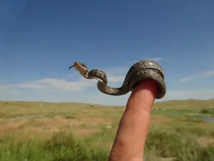 Кевин Уорхол порно онлайн