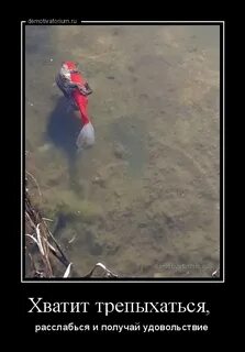 Оба получили удовольствие