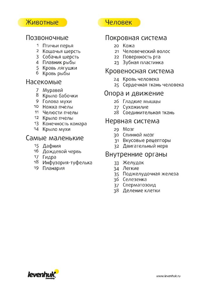 Легкие миры содержание