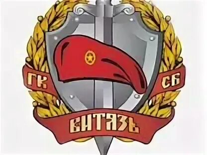 Охрана витязь москва