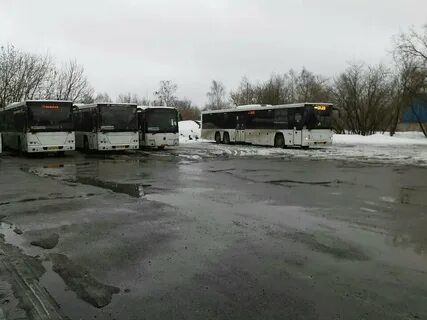 33 автобус купавна