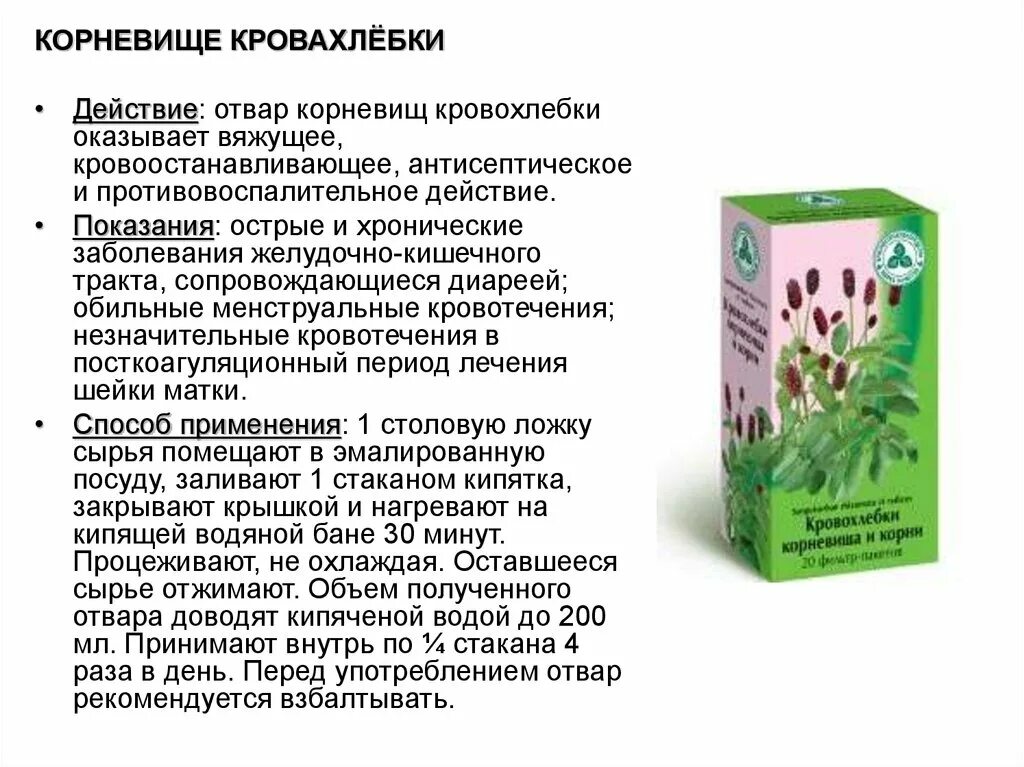 Что пить при поносе в домашних условиях. Кровохлёбка лекарственная корневище. Настой корневища кровохлебки. Отвар кровохлебки.