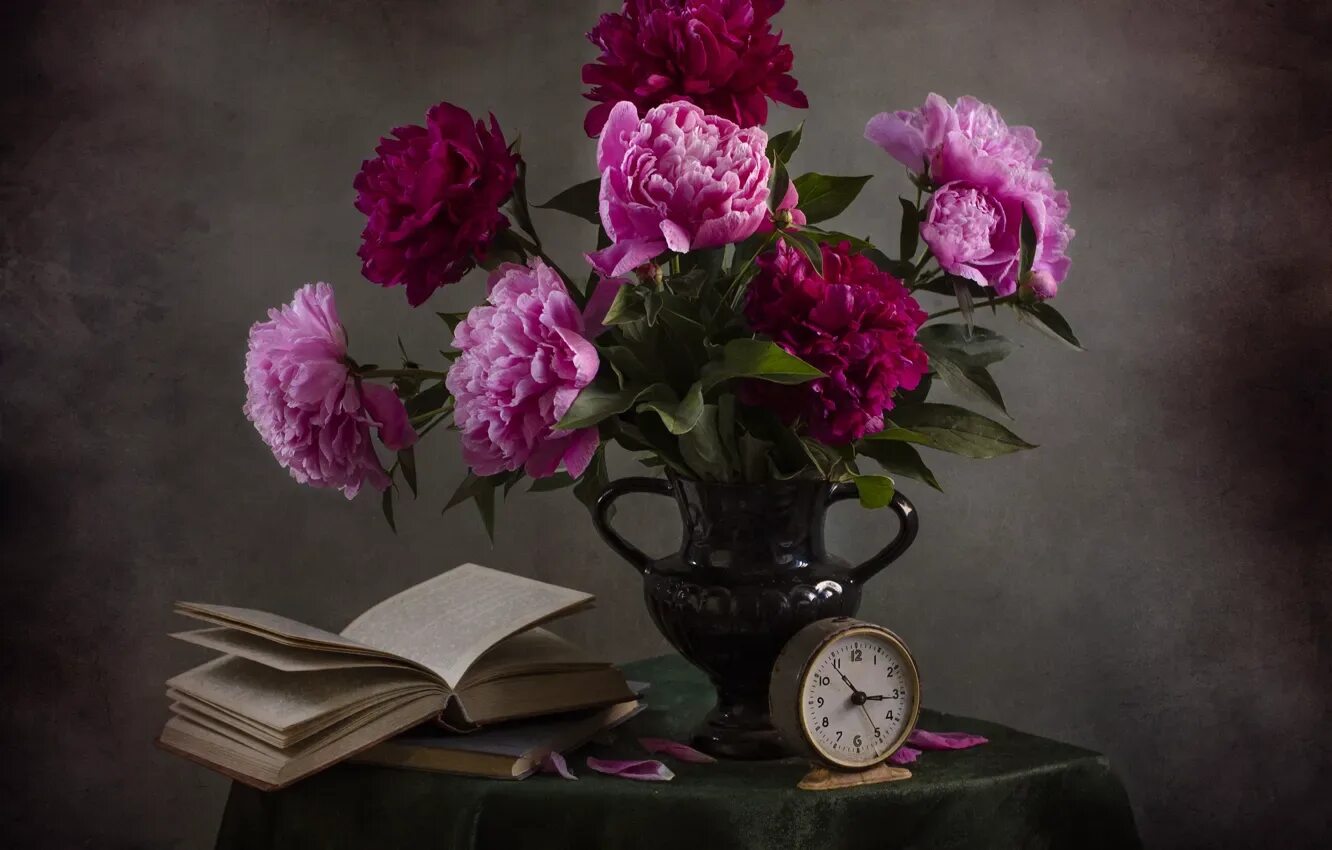 Книга цветы. Букет цветов и книга. Книга с цветами. Книга с цветами. Цветы лежат на столе.