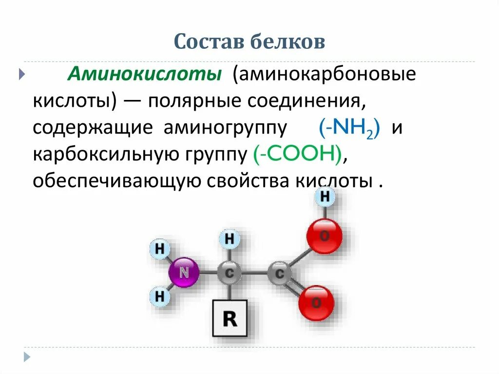 Группа соединения белков. Аминокислоты входящие в состав белков их строение и свойства. Аминокислоты входящие в состав белков свойства. Белки строение аминокислоты. Аминокислоты входящие в состав белков их строение.