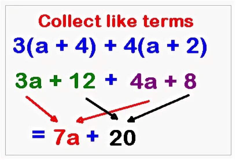 Term в математике. Math like terms. Collect like term. Like terms