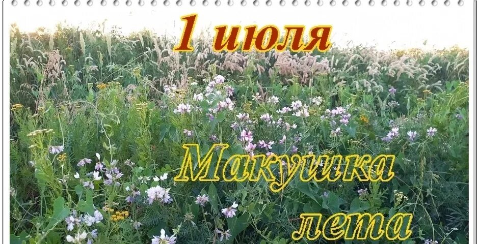 Утро 1 июля. Июль макушка лета. 1 Июля макушка лета. Ярилин день макушка лета. С первым днем июля.