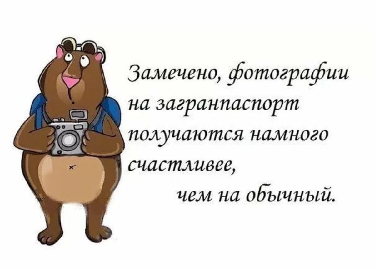 Шутки про путешествия. Высказывания про путешествия. Цитаты про путешествия. Экстремальный туризм. Высказывания про путешествия.