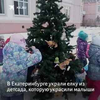 Украли ели