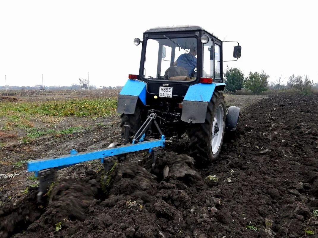 отвальная зяблевая вспашка. вспашка трактором. мтз 82 пахота. 1 с плугом. вспашка трактором.