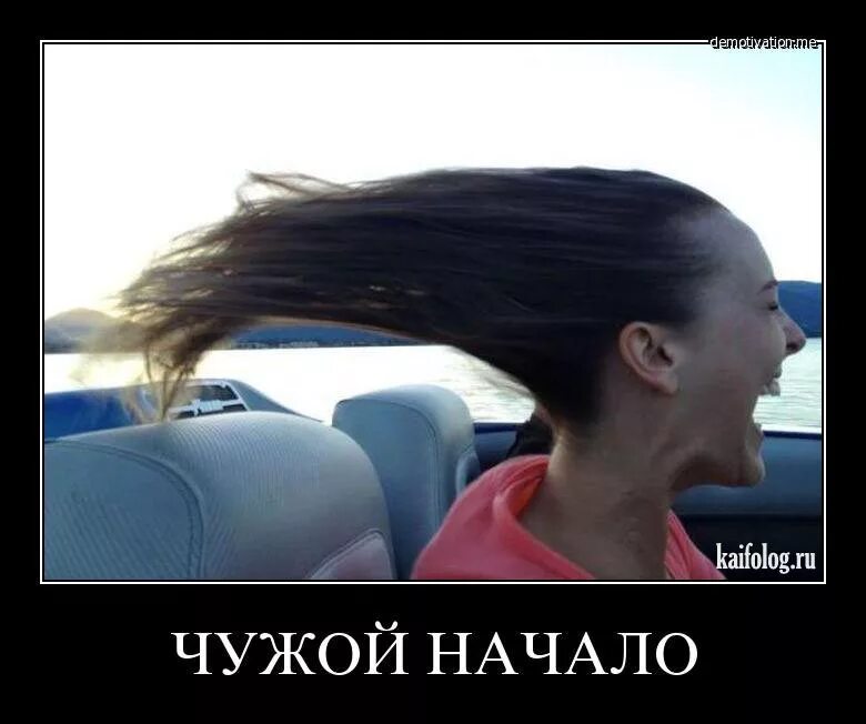 Почему волосы назад. Крепкие волосы. Волосы назад мем. Волосы назад прикольные. Длинные волосы с лысиной.