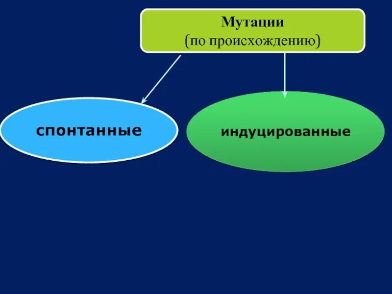Индуцированные мутации. Индуцированные мутации примеры у животных. индуцированные мутации примеры в жизни. индуцированные мутации примеры егэ. индуцированные мутации это 55552252252.