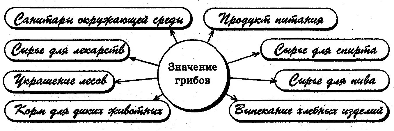 Заполните таблицу значение грибов Заполните таблицу значение грибов