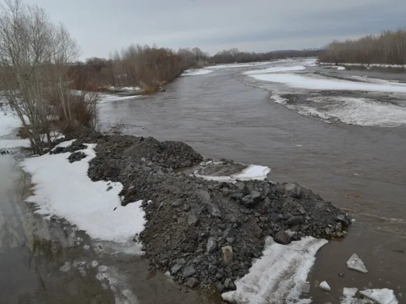 Погода в краснощеково алтайского края на 14. Река Чарыш село Харлово. Краснощеково Алтайский Чарыш. Село Краснощеково Алтайский край река Чарыш. Алтайский край Краснощековский район село Березовка.