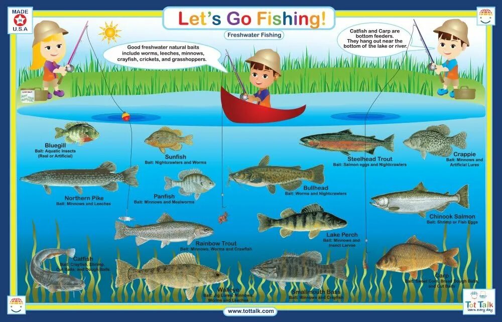 Fishing vocabulary. Фишинг мем. Fish английский языки. Fish eat fish на 3 игрока вс* информация о рыбах. Fishing for fishes перевод.