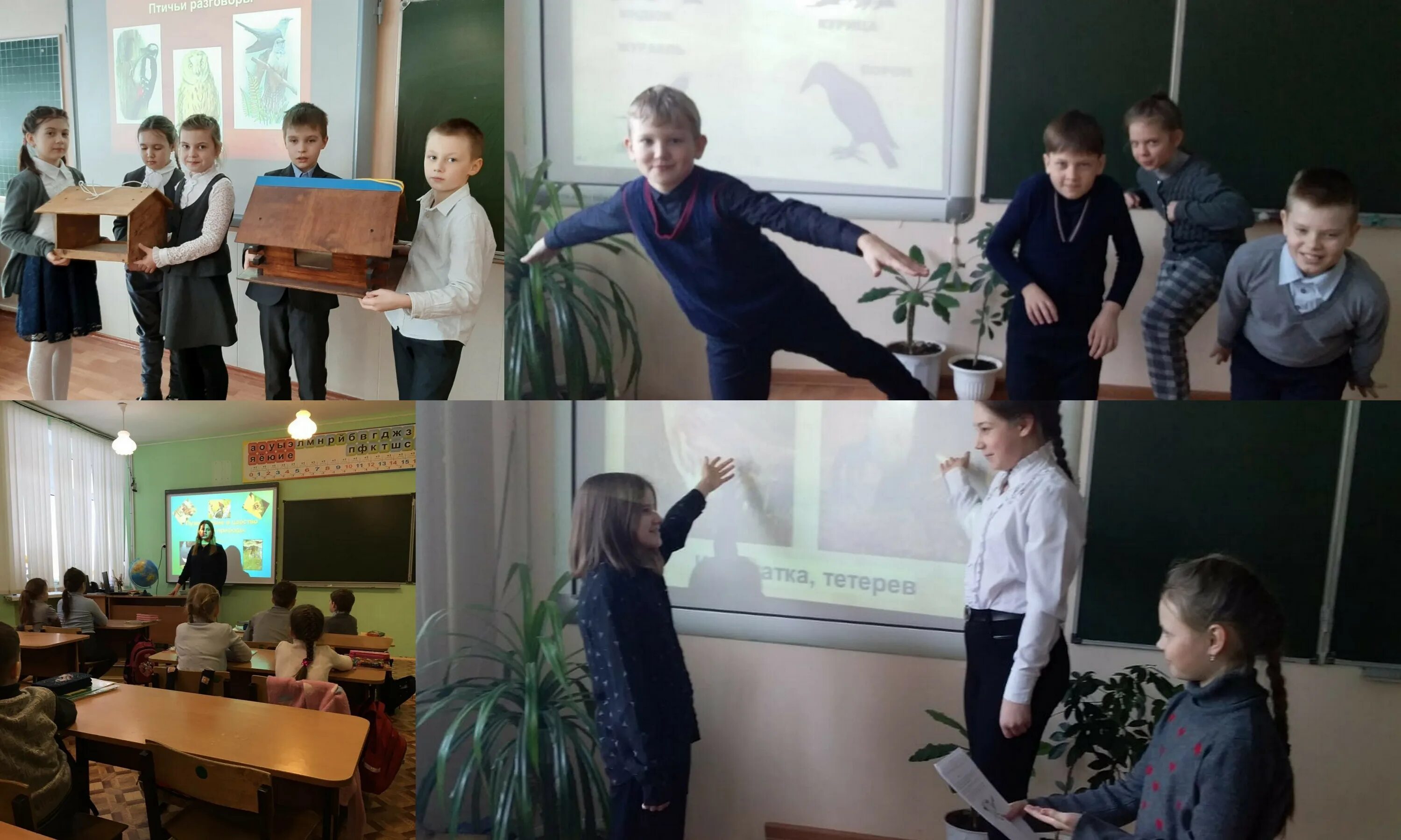 мкоу сош номер 3. поселок михайловка черемховский район школа. мкоу сош номер 3. мкоу сош 3 суровикино. киренска.