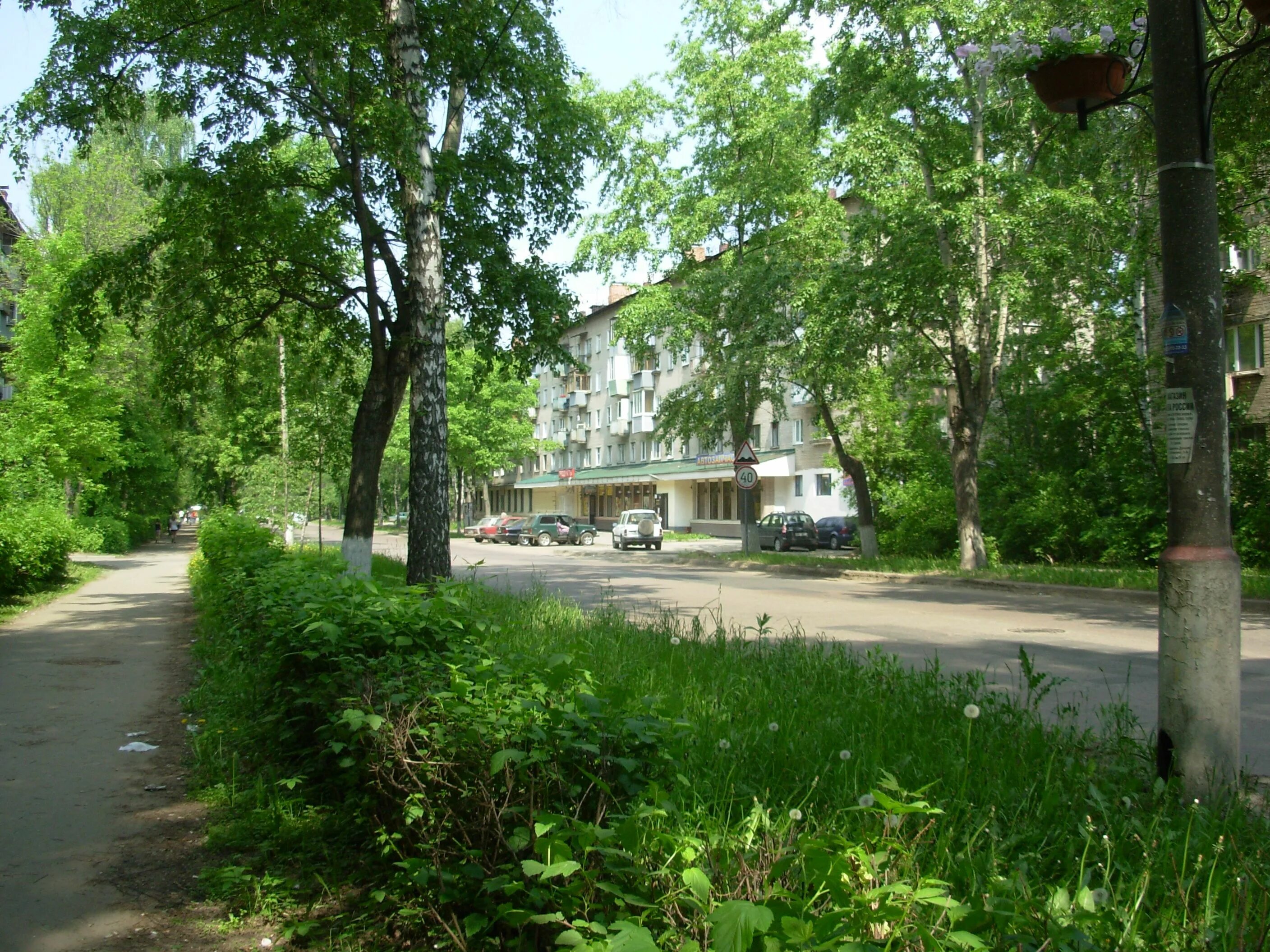 Сады города королев. Королев улица садовая. садовая улица (королёв). улица лесная королёв подлипки. улицы города королева.