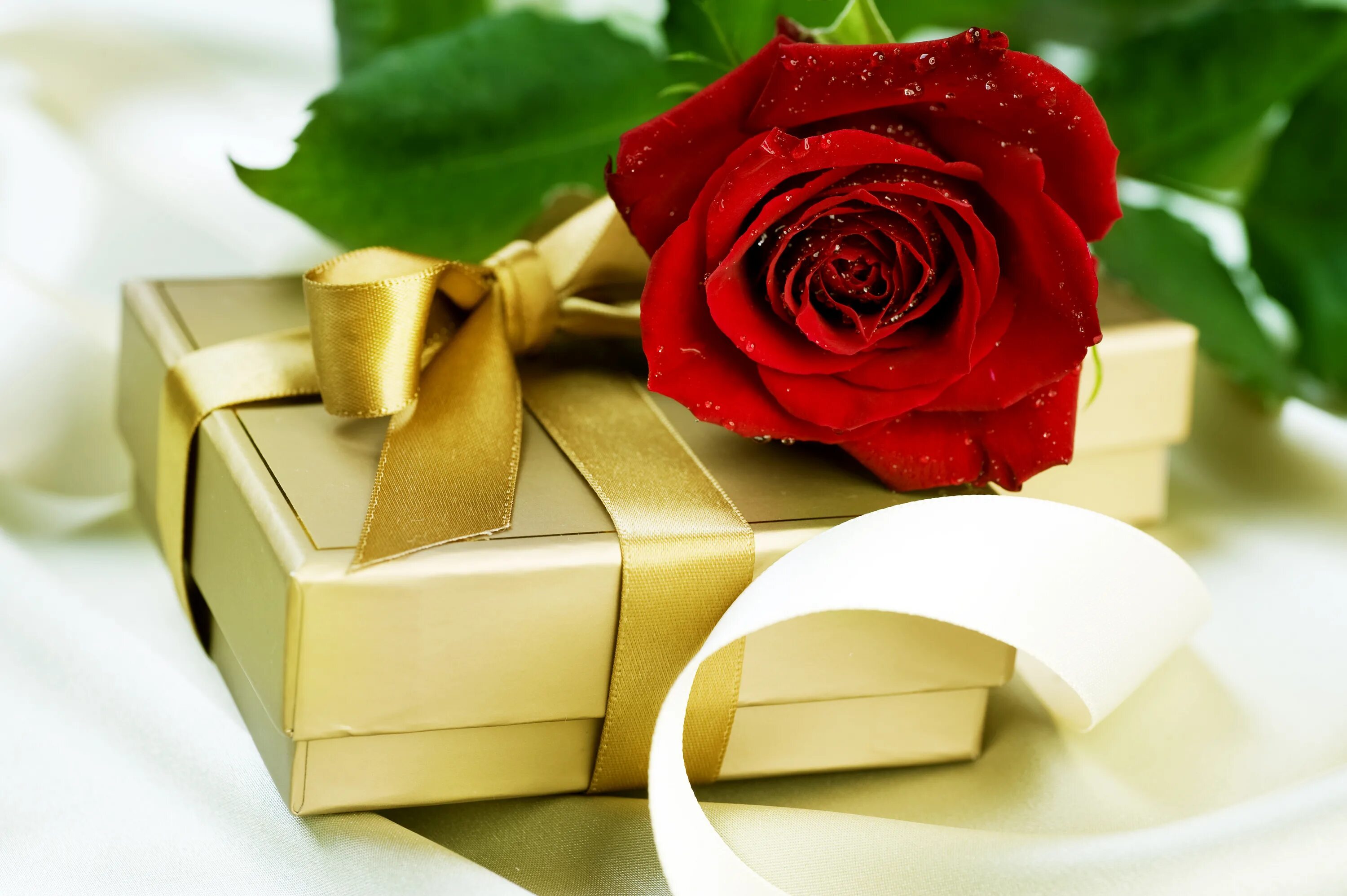 Подарок из 4 слов. Розы подарок. Красивые подарки. Открытка "подарки". Цветы в подарок.