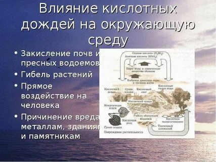 Воздействие кислотных дождей на окружающую среду