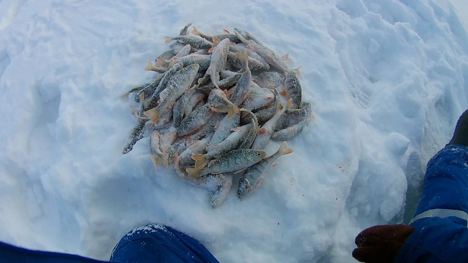 Зимние рыбалка 20 20. Рыбалка зимой. Зимняя рыбалка на реке. Зимняя рыбалка на озере. Зимняя рыбалка на озере Чаны.