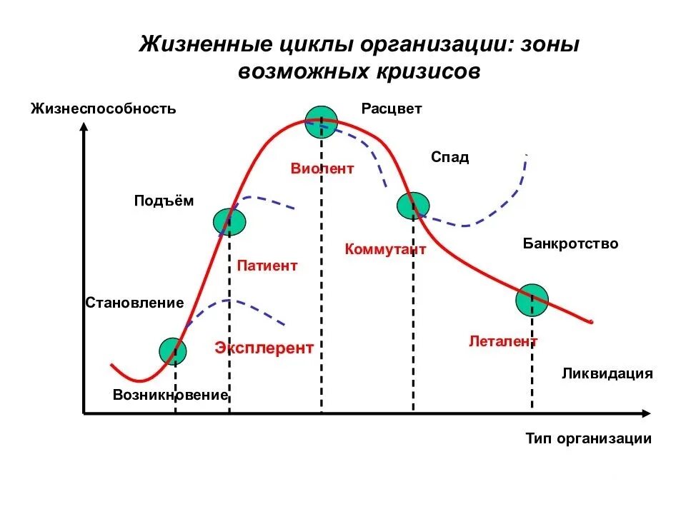 Этапы экономического управления. Фазы жизненного цикла фирмы. Стадии жизненного цикла фирмы. Стадия (фаза) жизненного цикла предприятия. Этапы жизненного цикла организации схема.