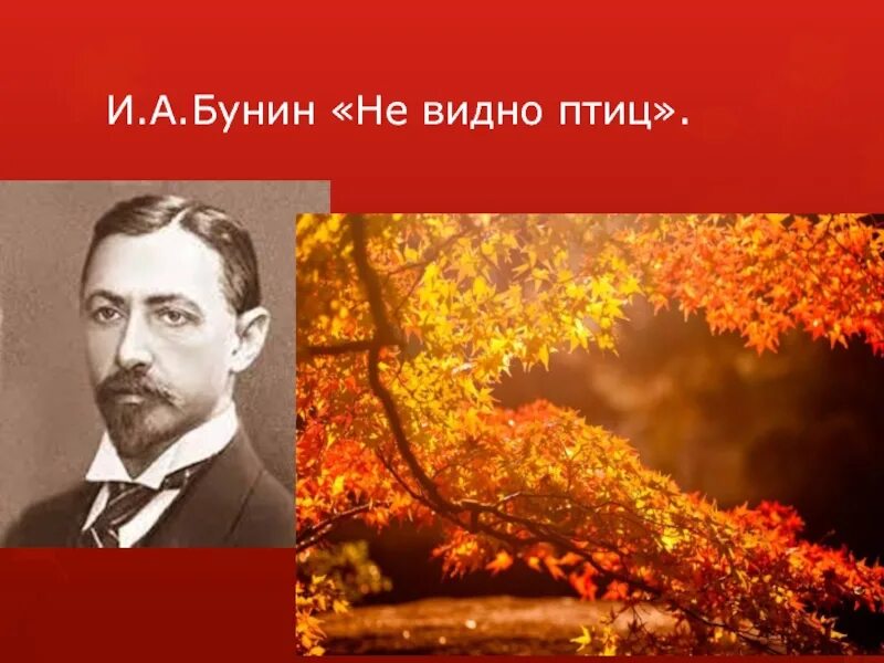 Бунин покорно чахнет. Бунин не видно птиц. Не видно птиц покорно чахнет Бунин. Бунин стих не видно птиц покорно чахнет.