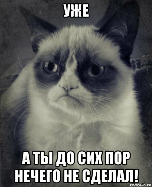 До сих пор 7. Уже а ты до сих пор ничего не. уже а ты до сих пор. уже а ты до сих пор не. уже а ты ещё ничего не сделал.