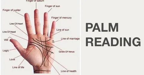 Palm перевод на русский