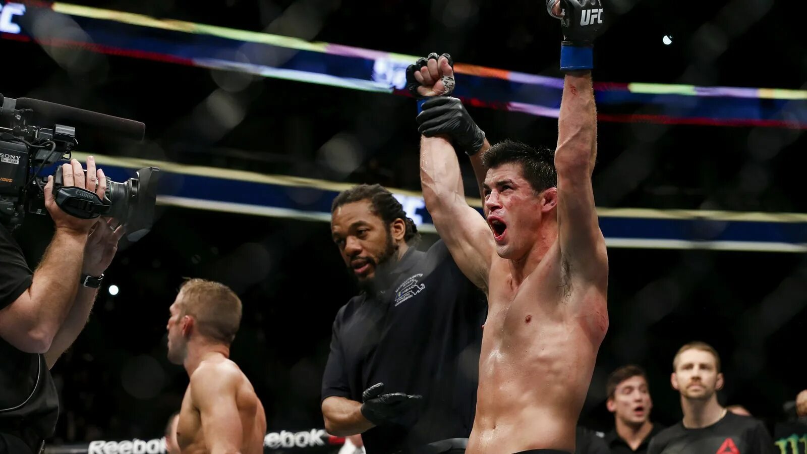 Доминик Круз Диллашоу. Доминик Круз ти Джей Диллашоу. Dominick Cruz UFC. Dominick Cruz WEC. Результаты ufc fight