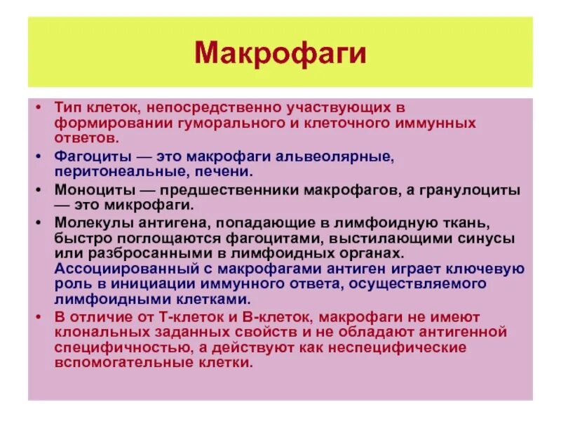 Роль макрофагов. Типы макрофагов. Функции макрофагов и микрофагов. Микрофаги и макрофаги и их значение в иммунных реакциях.. Роль макрофагов в иммунном ответе.