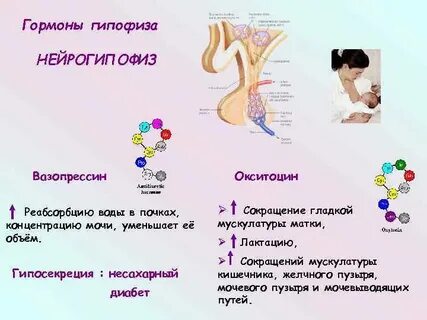 Гипофиза повышен пролактин